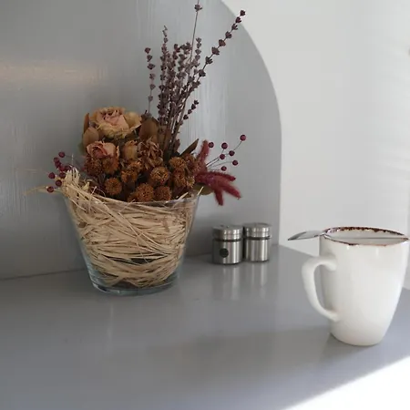 Apartment Agion Living Taksim Cihangir