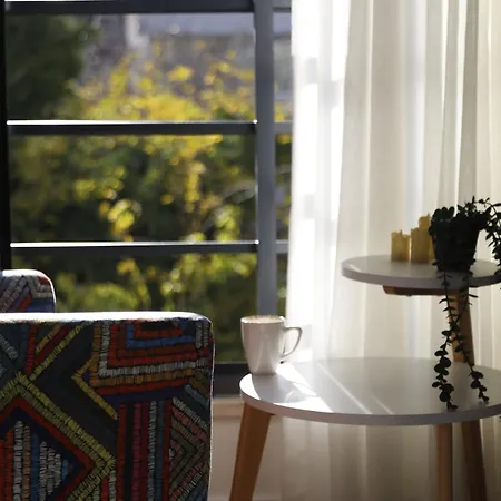 Agion Living Taksim Cihangir Apartment Istanbul